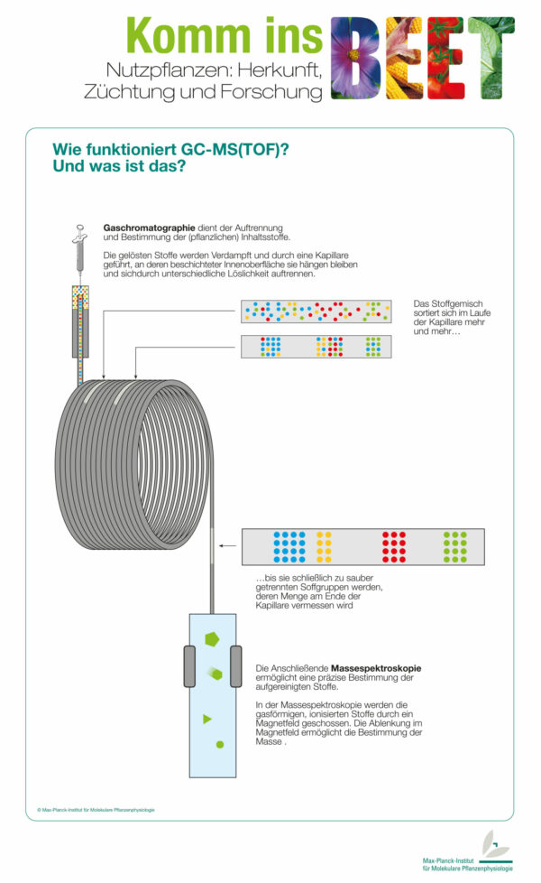 Gaschromatographie-Massenspektrometrie